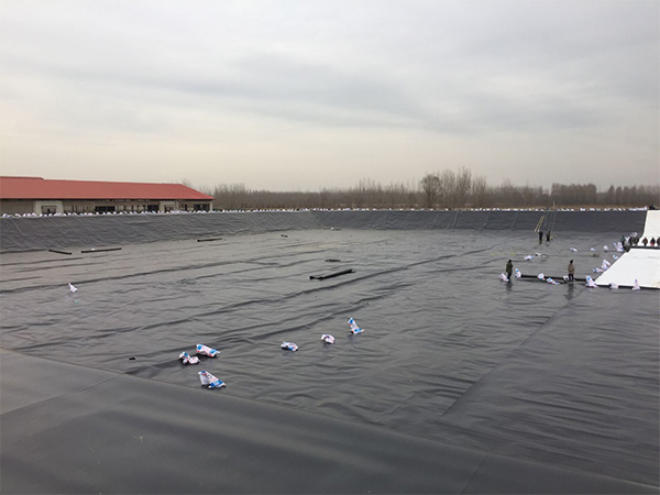 養(yǎng)殖業(yè)朋友注意了：如何延長(zhǎng)防滲土工膜使用壽命？