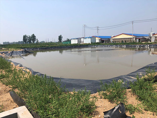 魚(yú)蝦養(yǎng)殖土工膜 魚(yú)蝦養(yǎng)殖土工膜