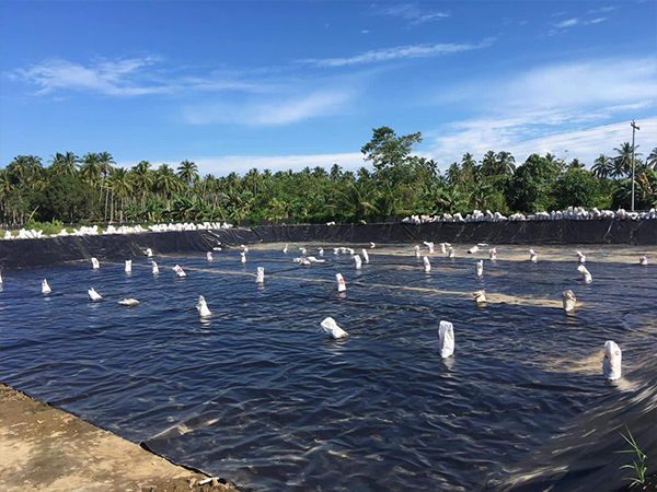 確保防滲膜的化學(xué)性質(zhì)穩(wěn)定性至關(guān)重要。