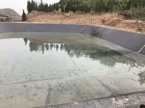 水產(chǎn)土工膜在藕池建設(shè)中充當(dāng)怎樣的角色？