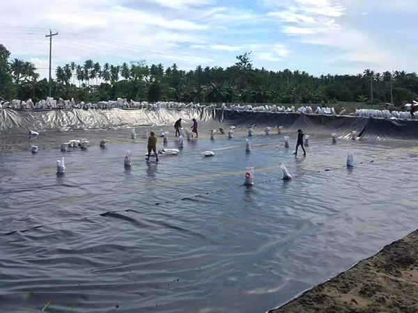 冬季該如何進(jìn)行養(yǎng)殖防滲膜的鋪設(shè)？