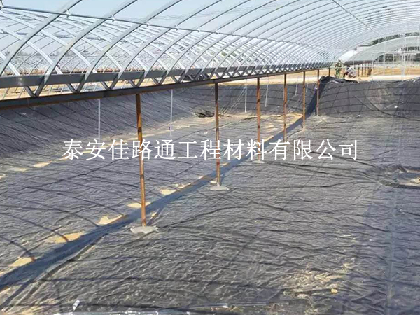 為什么說(shuō)魚(yú)蝦養(yǎng)殖防滲膜可有效保護(hù)魚(yú)兒生長(zhǎng)？