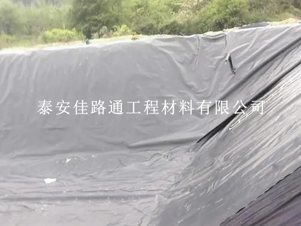 防滲復合土工膜抗生物侵蝕能力：一種創(chuàng)新視角