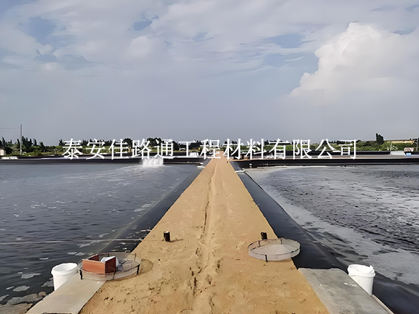 水產(chǎn)養(yǎng)殖防滲膜錨固施工方法：簡(jiǎn)單新穎的實(shí)踐指南