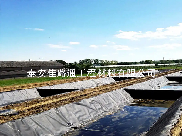 水產(chǎn)養(yǎng)殖防滲膜鋪裝技術(shù)要求：構(gòu)建高效防水屏障