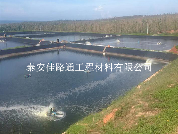 水產(chǎn)養(yǎng)殖防滲膜鋪設(shè)使用壽命下降的“幕后推手” 水產(chǎn)養(yǎng)殖防滲膜鋪設(shè)使用壽命下降的“幕后推手”