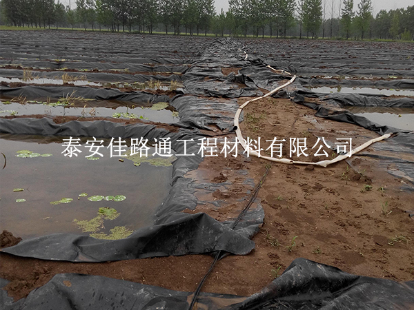 養(yǎng)殖防滲膜養(yǎng)護別大意，這些方法延長壽命